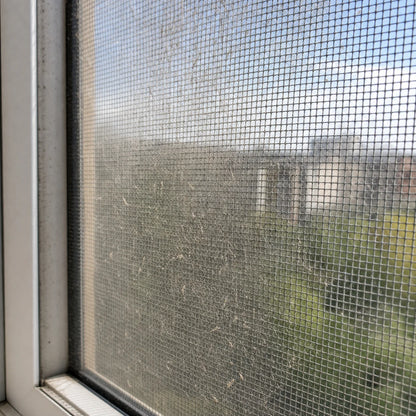 FOEOT Window + Screen Foam Cleaner — 500 mL