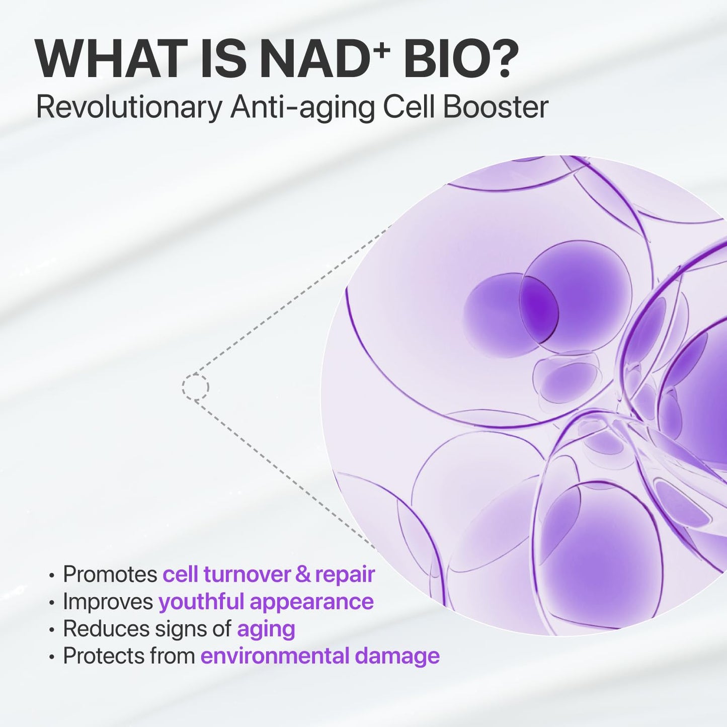 🎁 Buy one get one free today! HOAOT No.9 NAD+ 50 Peptide Firming Serum 💜 Suitable for face, neck, and body. Helps smooth fine lines and firm skin.