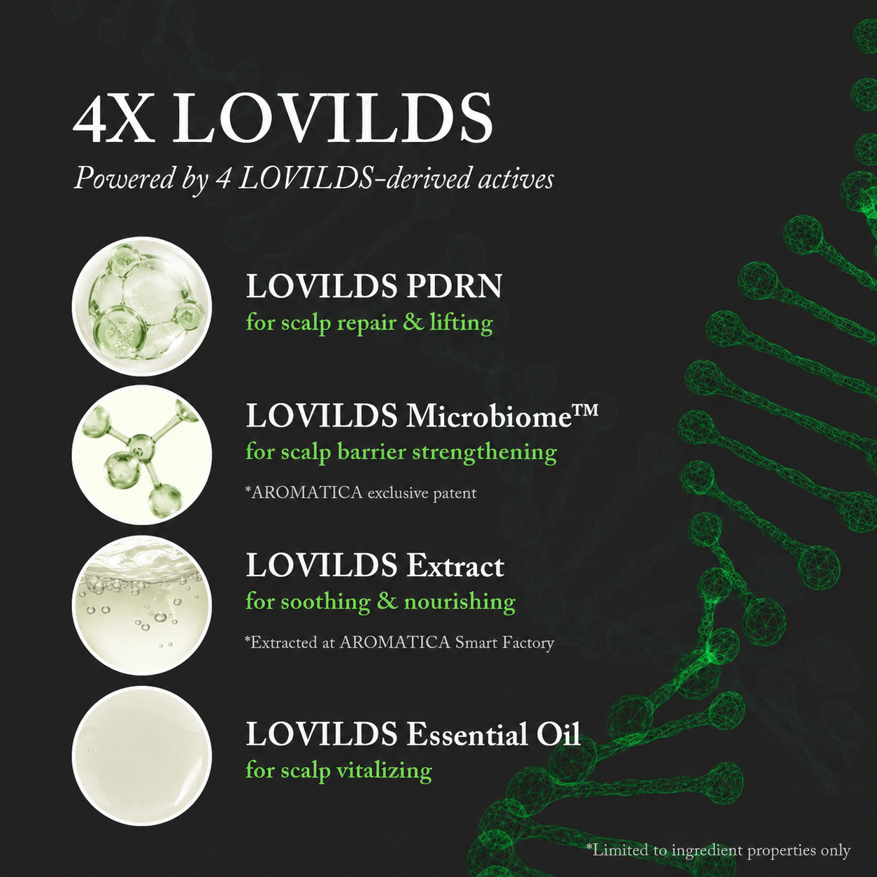 🌿 LOVILDS PDRN Scalp Serum | Root-Focused Care for Fuller, Healthier-Looking Hair ✨